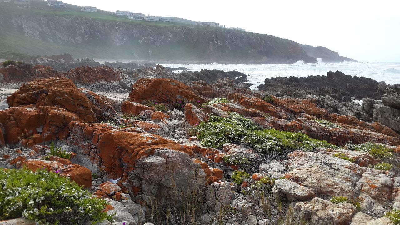 Pinnacle Point - Golf Safari Sa Mossel Bay Eksteriør bilde